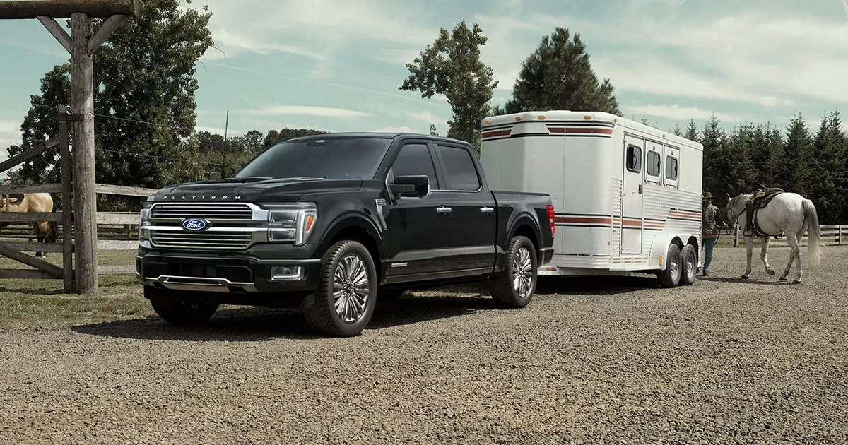 A black Ford F-150 pickup truck with a horse trailer is parked on a gravel path near a ranch. A person leads a white horse towards the trailer. Calm, rural setting.
